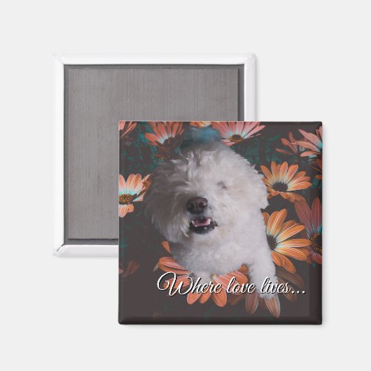 Where Love Lives Magnet マグネット (正面/裏面)