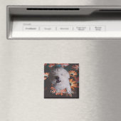 Where Love Lives Magnet マグネット (インサイチュ (食洗機))