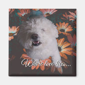 Where Love Lives Magnet マグネット (正面)