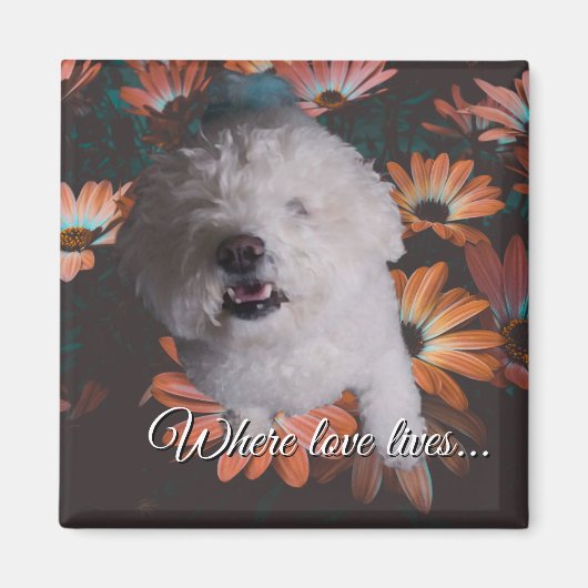 Where Love Lives Magnet マグネット (正面)