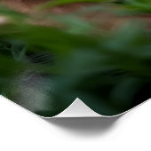 Where Muscle Meets Meadow ポスター (コーナー)