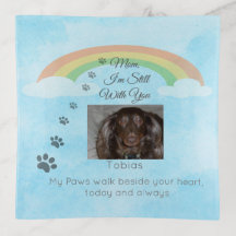 Where Pawprints Still Linger