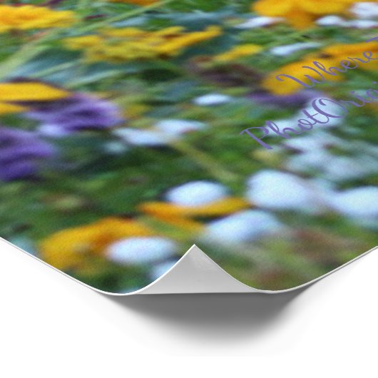 Where Three Gardens Meet 36x24 Poster ポスター (角)