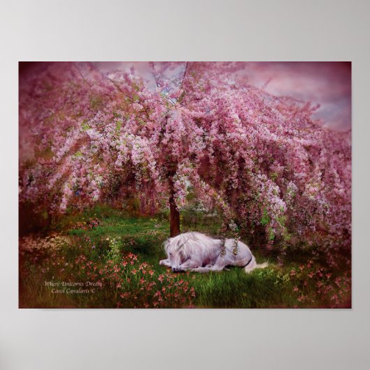 Where Unicorn's Dream Artポスター/プリント ポスター (正面)