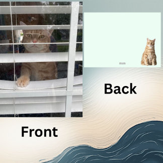 Where's Mom, Starring Taz the Cat- 5 x 7 Flat Card シーズンカード