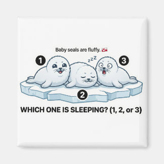 Which One Is Sleeping? – Baby Seal Learning Magnet マグネット