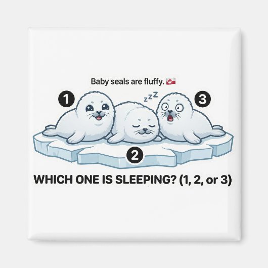 Which One Is Sleeping? – Baby Seal Learning Magnet マグネット (正面)