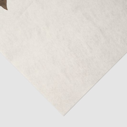 Whimsical Alice Vintage Fairy Tale 薄葉紙 (詳細)