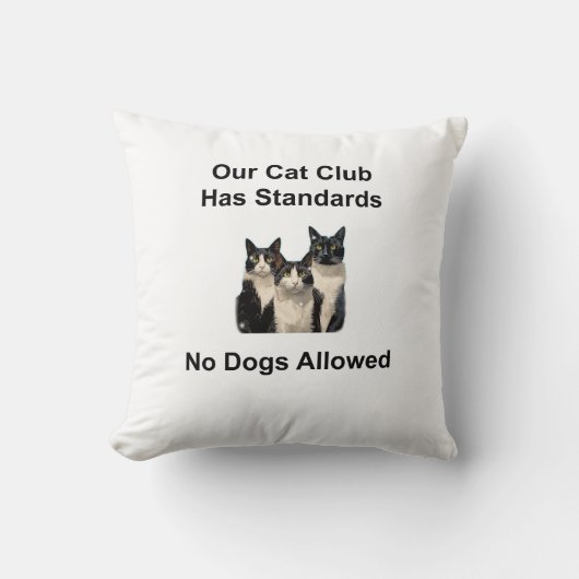 Whimsical Cat クッション (正面)