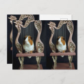 Whimsical Guinea Pig Harp Postcard – Elegant Story ポストカード (正面/裏面)