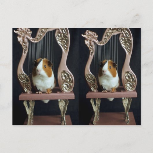 Whimsical Guinea Pig Harp Postcard – Elegant Story ポストカード (正面)
