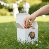 Whimsical Kiwi Bird Baby Shower | Sweet Pipi フェイバーボックス