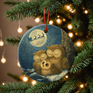 Whimsical Owl Family Christmas Eve Baby Owlet セラミックオーナメント