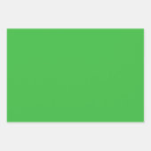 Whimsical Red Flowers Green Leaves On White Art ラッピングペーパーシート (正面3)