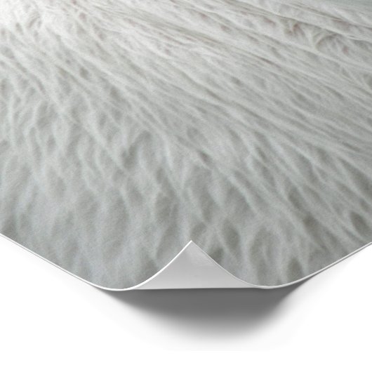 Whimsical White Calf ポスター (角)