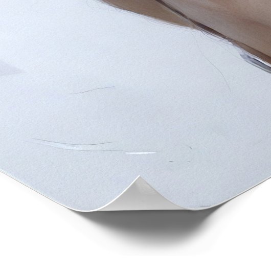 Whimsy & Light ポスター (角)