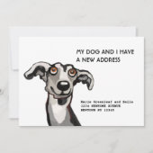 Whippetと私は引っ越しました。フラット発表カード 案内状 (正面)