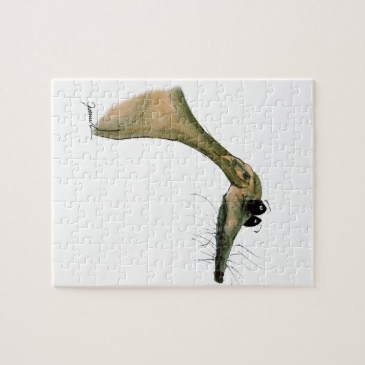 WHIPPET犬、贅沢なfernandes ジグソーパズル (横)