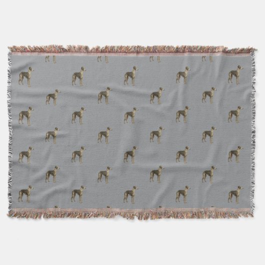 Whippet blanket - Whippet against grey background スローブランケット (正面)