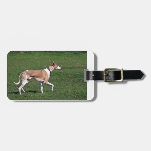 whippet-full.png ラゲッジタグ (正面横)
