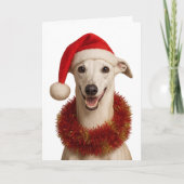 Whippet in a Santa hat Christmas greetings card カード (正面)