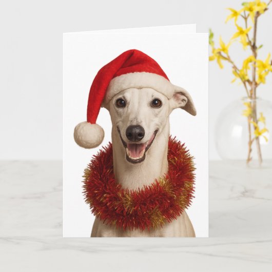 Whippet in a Santa hat Christmas greetings card カード (黄色い花)