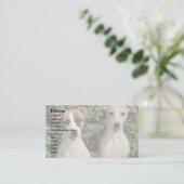 Whippets 名刺 (スタンド正面)