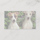 Whippets 名刺 (裏面)