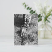 Whipsnadeの動物園の彼女の2匹の幼いこどもを持つトラ ポストカード (スタンド正面)