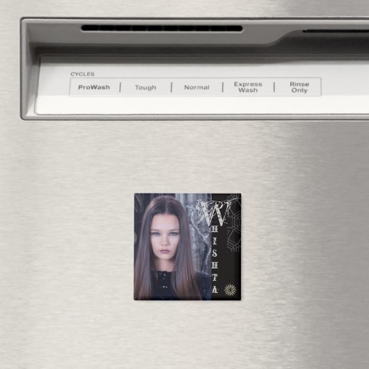 WHISHTA – マグネット (インサイチュ (食洗機))