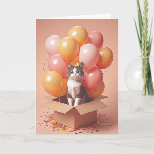 Whiskers and Sunshine Birthday カード (正面)