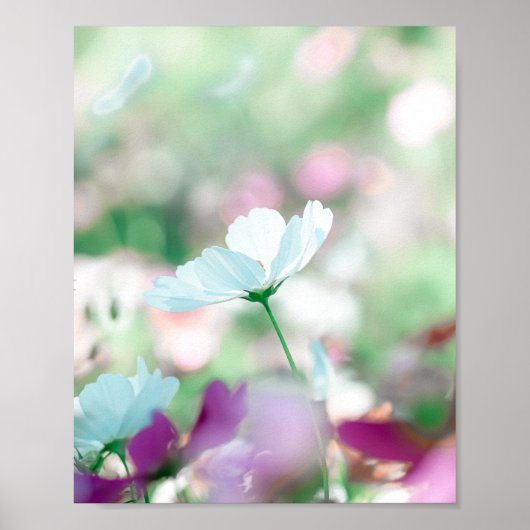 Whisper of an Afternoon Bloom ポスター (正面)