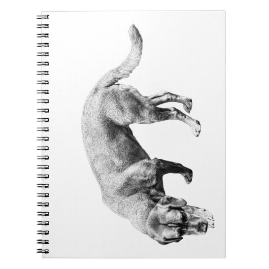 Whispered Trail Notes ノートブック (正面)