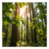 Whispering Forest フォトプリント (正面)