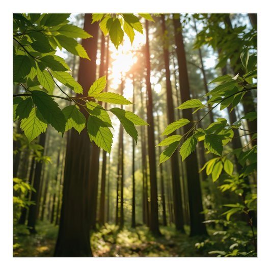 Whispering Forest フォトプリント (正面)