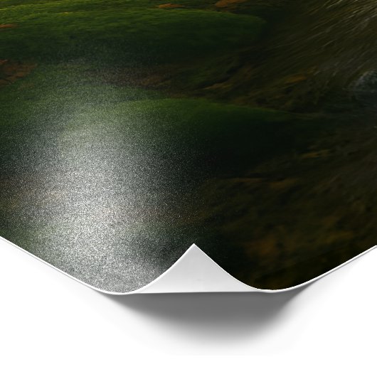 Whispering Forest フォトプリント (角)