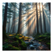 Whispering Forest フォトプリント (正面)