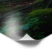 Whispering Forest フォトプリント (角)