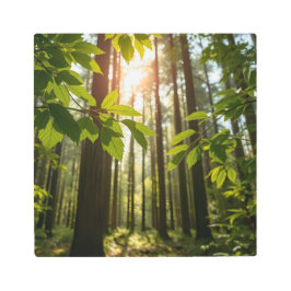 Whispering Forest メタルプリント