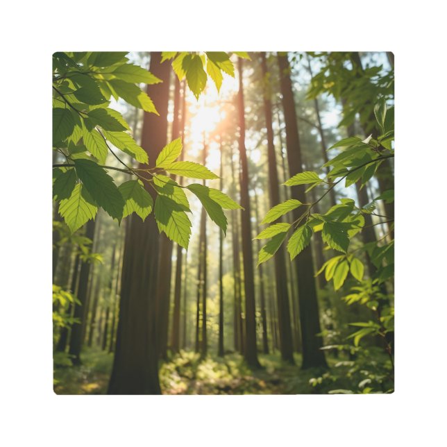 Whispering Forest メタルプリント (正面)