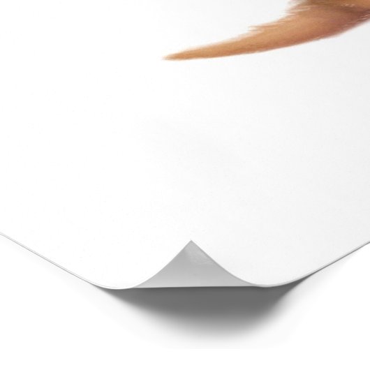 Whispering Meerkat Affirmations Customizable ポスター (角)