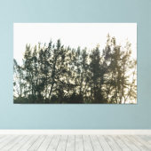 Whispering Pines of Taquari キャンバスプリント (インサイチュ (ウッドフロア))