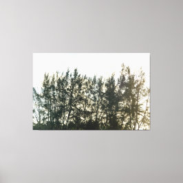 Whispering Pines of Taquari キャンバスプリント