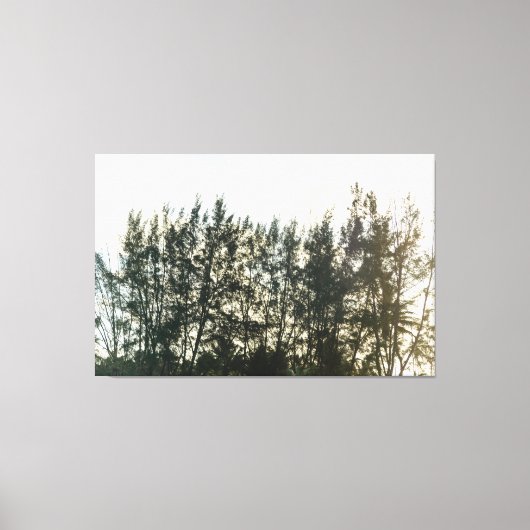 Whispering Pines of Taquari キャンバスプリント (正面)