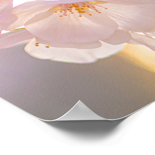 Whispers of Spring – Cherry Blossoms at Dusk ポスター (角)