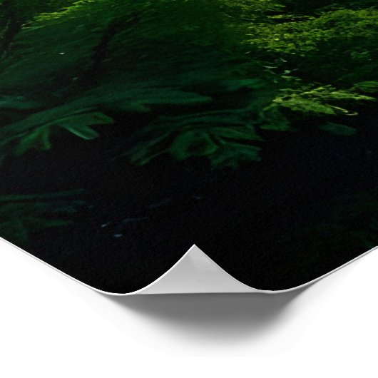 "Whispers of the Valley: Nature’s Golden Hour" ポスター (角)