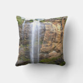 Whispers of Toccoa Falls クッション (裏面)