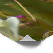 Whispers of Wildflowers ポスター (角)