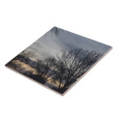 Whispers of Winter  タイル (側面)