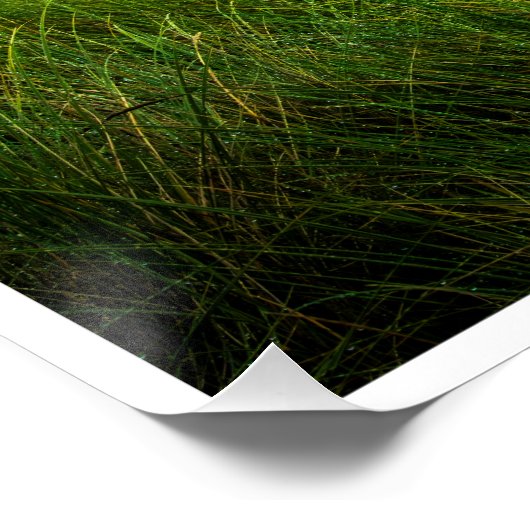 Whispers on the Sand: Historic Rathmullan Beach ポスター (コーナー)